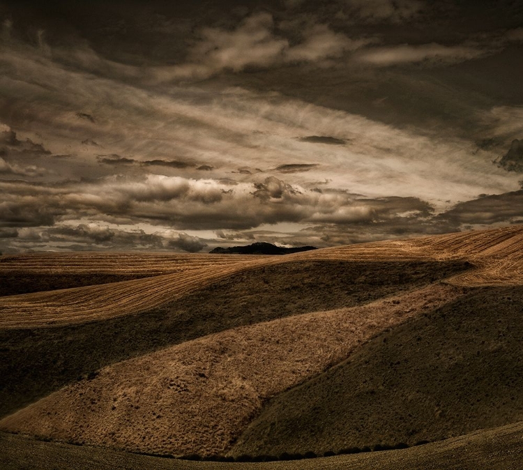 Picture of ON THE EDGE OF THE BADLANDS