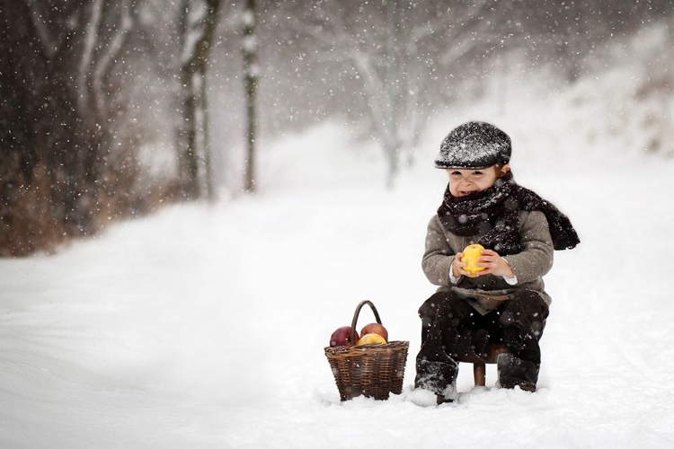 Picture of LITTLE APPLE SELLER