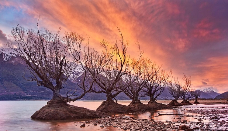 Picture of GLENORCHY ON FIRE