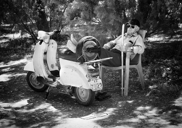 Picture of VESPA A RIPOSO