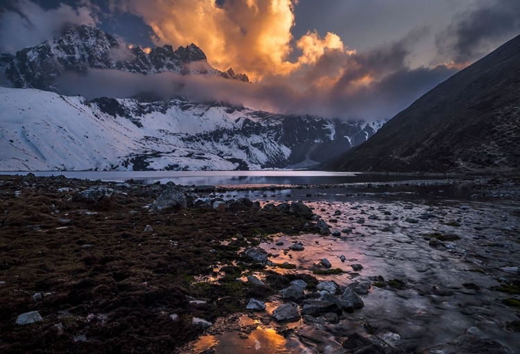 Picture of GOKYO FIRE