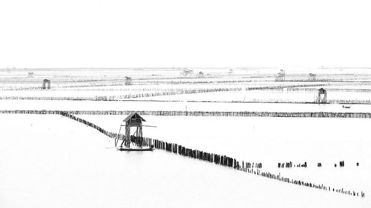 Picture of SHELLFISH FARM