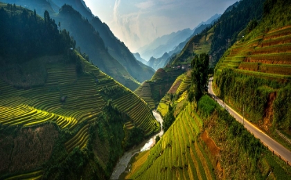 Picture of MU CANG CHAI