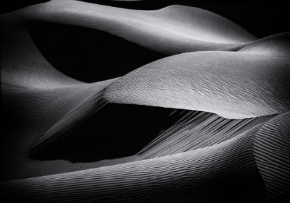 Picture of SHAPES OF THE DUNES