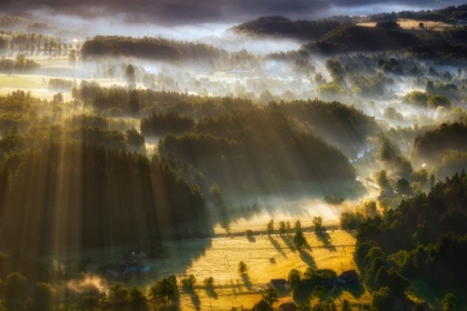 Picture of IN THE MORNING MISTS