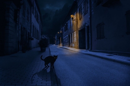 Picture of LE CHAT NOIR