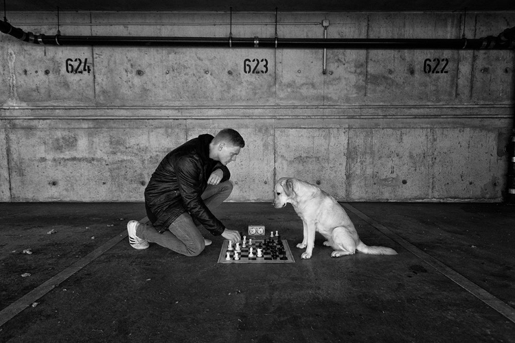 Picture of PLAYING CHESS