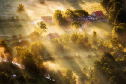 Picture of IN THE MORNING SUN