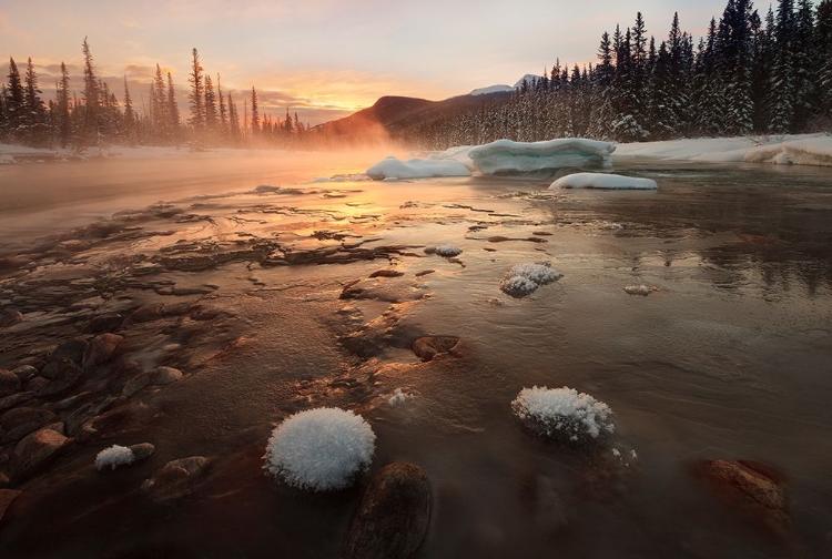 Picture of MISTY WINTER MORNING