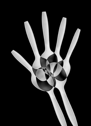 Picture of SPOONS ABSTRACT: XRAY