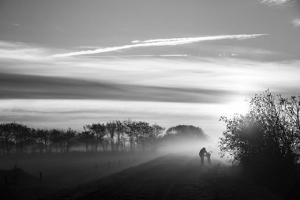 Picture of TERSCHELLING