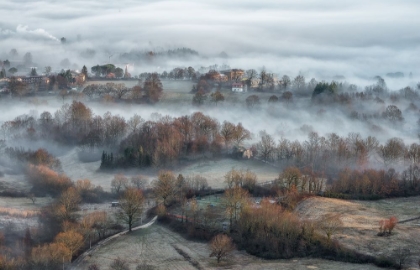 Picture of MISTY FIELDS