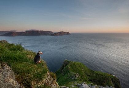 Picture of ON THE LOOKOUT