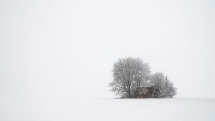 Picture of WINTER SILENCE