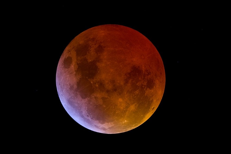 Picture of MOON TOTAL ECLIPSE