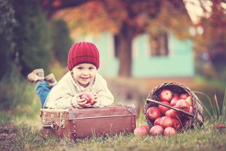 Picture of APPLE SEASON