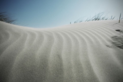 Picture of SANDWAVES...