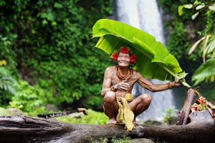 Picture of MENTAWAI