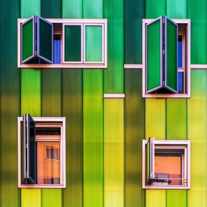 Picture of WINDOWS