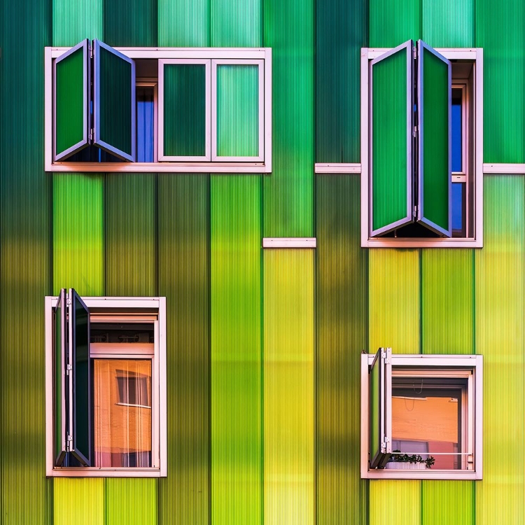 Picture of WINDOWS