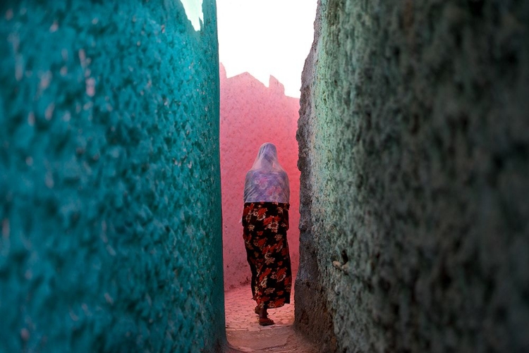 Picture of THE COLOURS OF HARAR