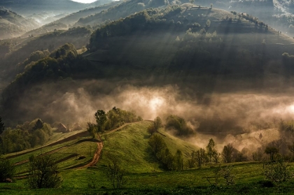 Picture of MORNING FOG