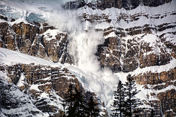 Picture of AVALANCHE