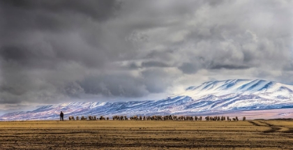 Picture of AT THE FOOT OF THE TIANSHAN MOUNTAINS