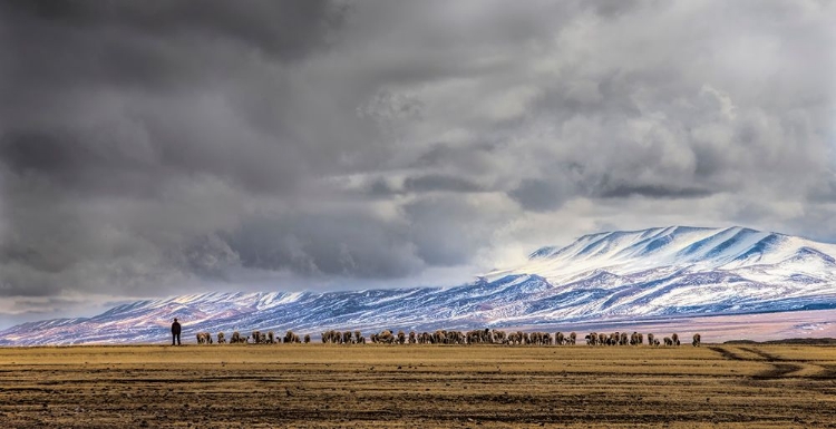 Picture of AT THE FOOT OF THE TIANSHAN MOUNTAINS