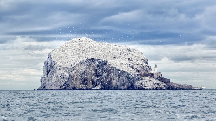 Picture of BASS ROCK