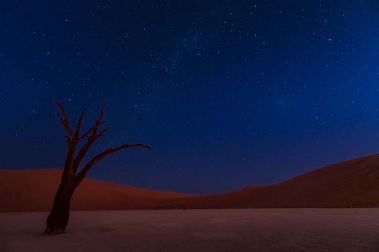 Picture of STARS AND DUNES