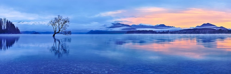 Picture of LAKE WANAKA