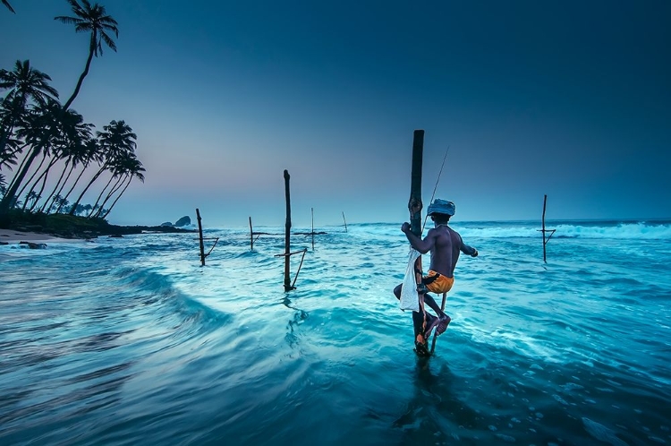 Picture of FISHING AT SUNRISE