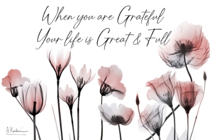 Picture of YOU ARE GRATEFUL