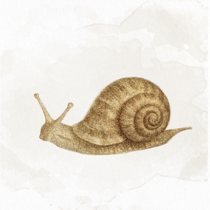 Picture of GARDEN SNAIL 2