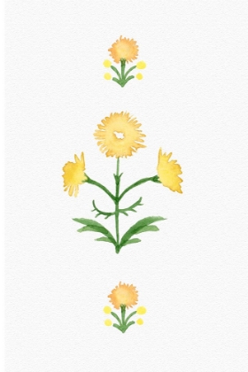 Picture of YELLOW FLOWERS IN A ROW