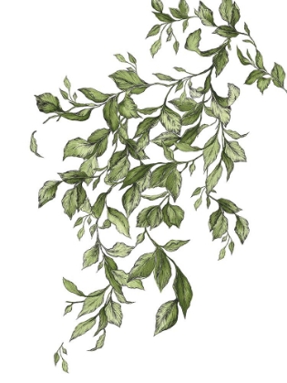 Picture of FREE LEAVES