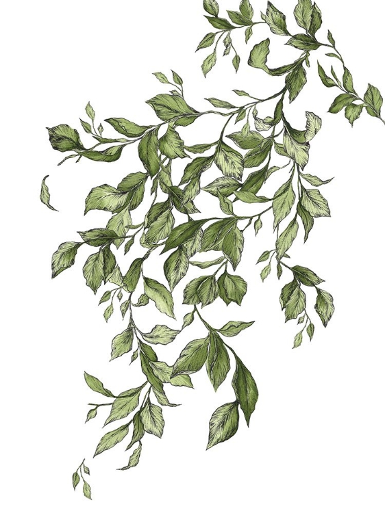 Picture of FREE LEAVES