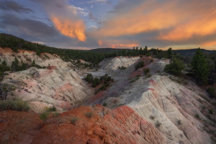 Picture of CLAY DEPOSIT