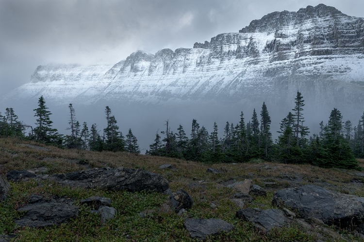 Picture of FIRST SNOW