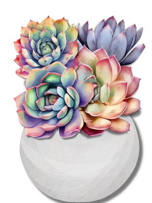 Picture of SUCCULENT VASE