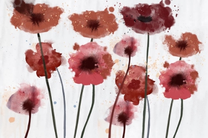 Picture of POPPIES