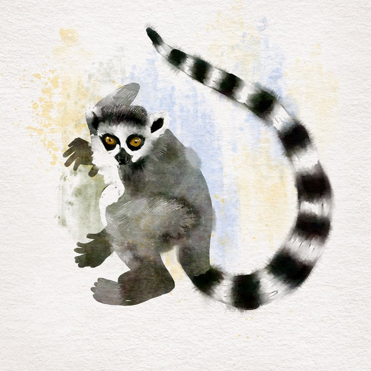 Picture of LEMUR