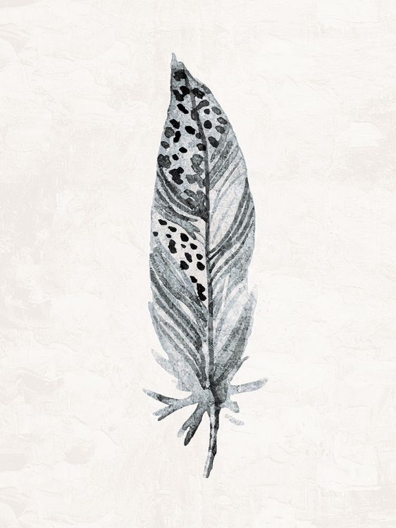 Picture of PAINTED FEATHER 3