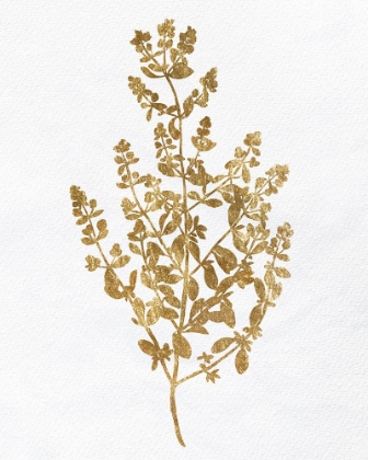 Picture of PRESSED FOLIAGE GOLD 1