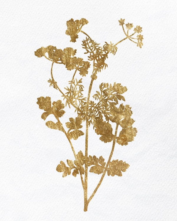 Picture of PRESSED FOLIAGE GOLD 2