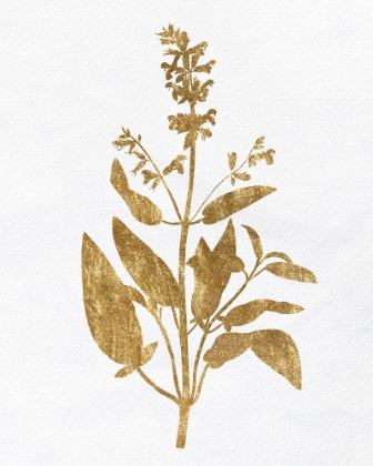 Picture of PRESSED FOLIAGE GOLD 3