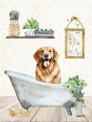 Picture of PET BATH 1