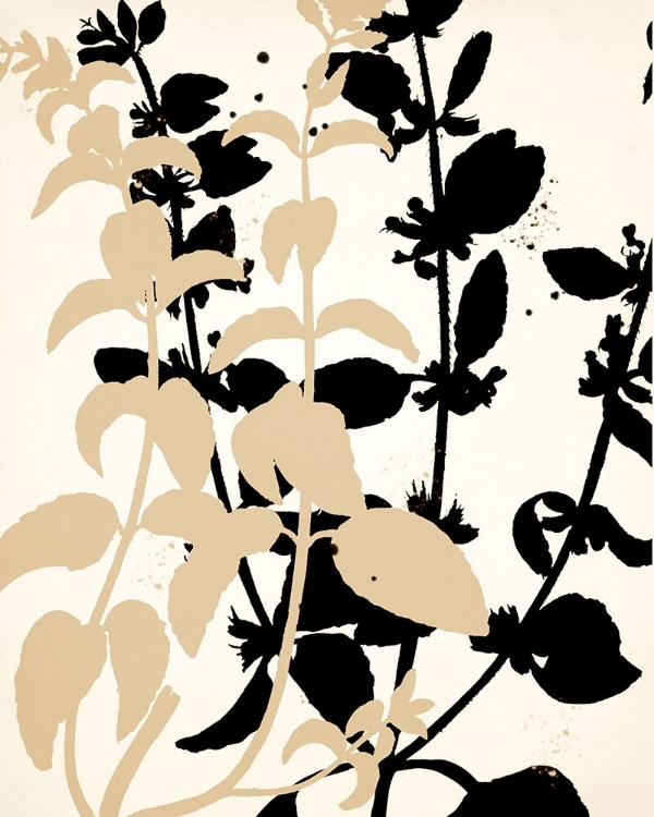 Picture of BOTANICAL BLACK AND CREAM 2