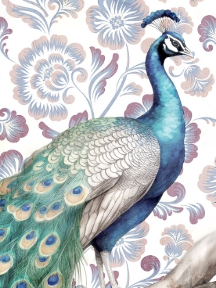 Picture of PEACOCK PATTERN 1